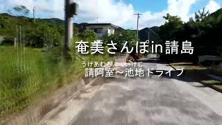 奄美さんぽ㏌請島　請阿室～池地ドライブ