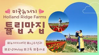 [수정과] 튤립축제 New Jersey Tulip Festival - Holland Ridge Farms 다녀왔어요~