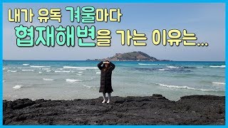 겨울의 제주 협재해수욕장에 가야할 이유 3가지! 겨울에만 가능한 것들은 무엇일까요..? [제주여행]