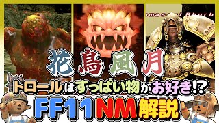 【FF11】黄金の割符を求めてトロールの本拠地に乗り込め！花鳥風月NMを徹底解説！【FFXI復帰】