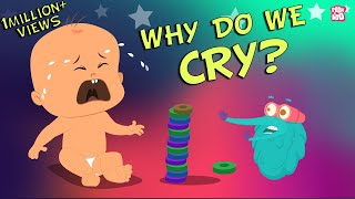 Why Do We Cry - The Dr. Binocs Show | Best Learning s For Kids | Peekaboo Kidz