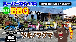 【スーパーカブ110】ツキノワグマに会ってきた！～映えBBQからクマのいるお寺～