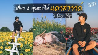 เที่ยวทุ่งดอกไม้นครสวรรค์ แบบ 1 Day Trip ไปเช้า-เย็นกลับ | Outing Man Thailand