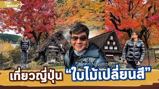 เที่ยวญี่ปุ่น ใบไม้เปลี่ยนสี (พฤศจิกายน)  | Top of the World