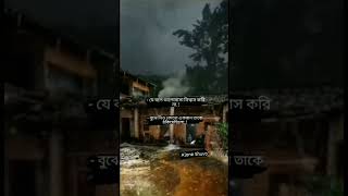 যে বলে ভালোবাসা বিশ্বাস করিনা বুঝে নিও তাকে কেউ নির্মম ভাবে ঠকিয়েছিল 😭🥀