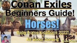 Horses! Conan Exiles Beginners Guide 2022