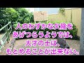 松陰神社⛩️幕末歴史旅 東京世田谷。吉田松陰先生の名言・格言・語録　10選。