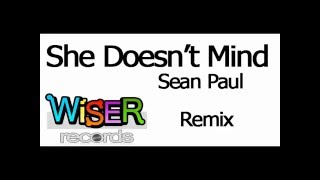 WiSER - She Doesn't Mind Remix (ft Sean Paul)