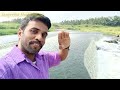 beautiful dam on the village river கிராமத்து ஆற்றின் அழகிய அணைக்கட்டு sangeetha muthu vlogs