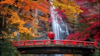 🍁🍂  FINALLY MINOH CITY 🌉 A DAY TRIP FROM OSAKA WITH BEAUTIFUL 🤗(MINOH WATER FALL)🌊🍂🤗🍁#🫰🏾