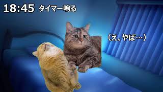 風俗嬢の日常　#猫マニ #猫ミーム