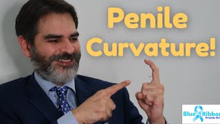 Peyronies disease or congenital penile curvature? Treatment of curved or bent penis