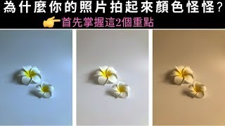 為什麼你的照片拍起來顏色怪怪? 你可能忽略了這2個部分 | 手機拍照教學 | 小藍湖產品形象專家 | 手機攝影 | 美食照 | 產品照 | 拍照道具 | IG美照