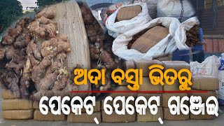 ଜୟପୁର ସଦର ପୋଲିସ ଦ୍ୱାରା ପୁଣି କୋଟିଏ ଟଙ୍କାର ଗଞ୍ଜେଇ ଠାବ ।ଅଦା ବସ୍ତାରେ ଥିଲା ଗଞ୍ଜେଇ । ପୋଲିସର ତଦନ୍ତ ଜାରି ।