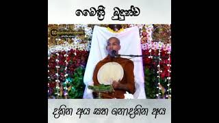 මෛත්‍රී බුදුන් දකින අය සහ නොදකින අය. | ven. Kirulapana Dammawijaya Thero