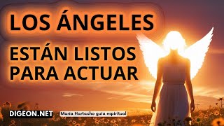 Todo va a cambiar ahora💌MENSAJE DE LOS ÁNGELES PARA TI -DIGEON -Arcángel Miguel - Enseñanza VERTI