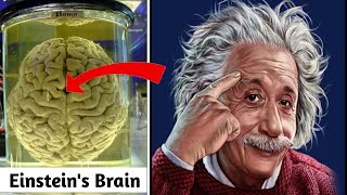 How Einstein's Brain Was Different? | Shajee TV