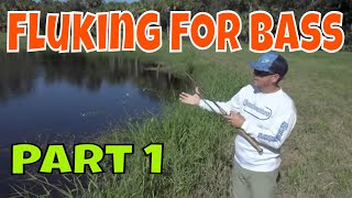 Fluking for Bass | How to us a fluke lure for bass fishing Part 1