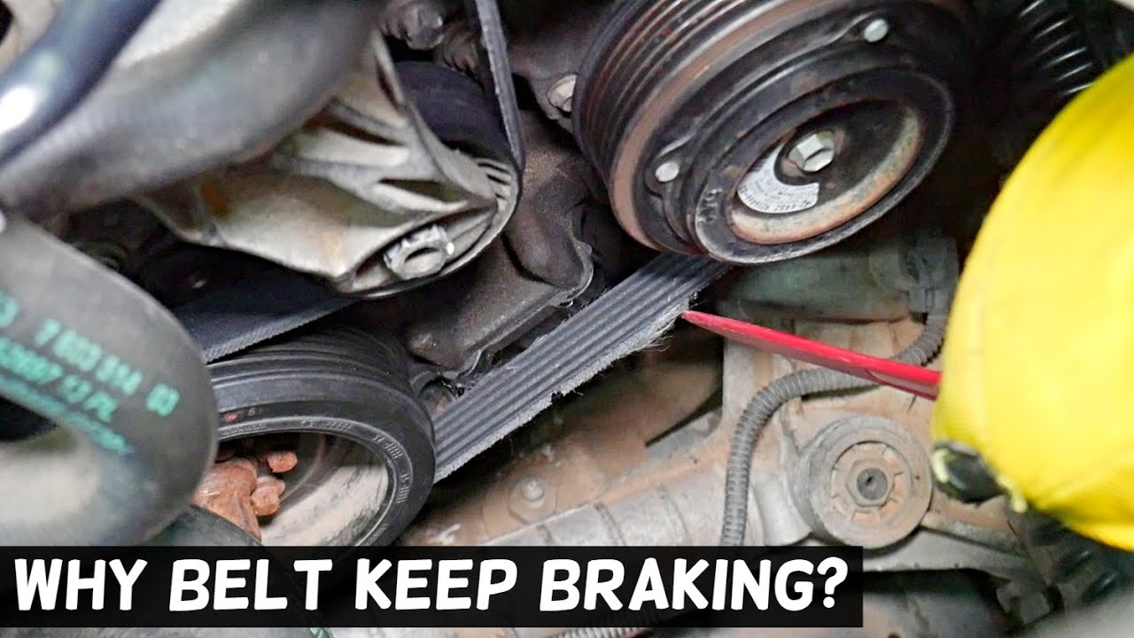Why Does My Serpentine Belt Keep Breaking At Pamela Bentley Blog