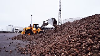 WelcomePartner Zuckerfabrik Anklam - Weg der Zuckerrübe #1