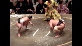 2016年5月11日 日馬富士VS妙義龍