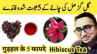 Hibiscus Tea - Top 5 Scientifically Proven Benefits of Hibiscus Tea