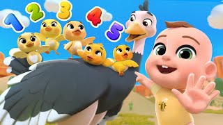 Five Little Ducks (Learn Bird Names) | Lalafun Nursery Rhymes \u0026 Kids Songs