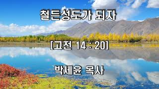 대구열방교회/박세윤 목사/철든성도가 되자/(고전 14 : 20)