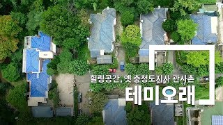 [나와유대전] 새로운 힐링공간 테미오래(옛 충남도지사 관사촌)