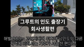 모의해커 (화이트 해커 그런 거 아님 아무튼 아님) 그루트의 우당탕탕 인도 출장기 2탄 - 회사생활편