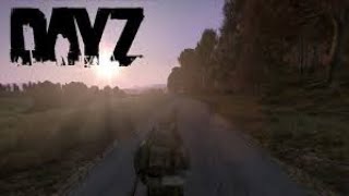 アミドンアミドン のゆったりゲーム配信  PC版　DAYZ