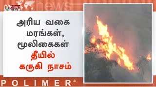 வேலூர் மலையில் பற்றி எரியும் காட்டுத்தீ | #Wildfires | #Vellore