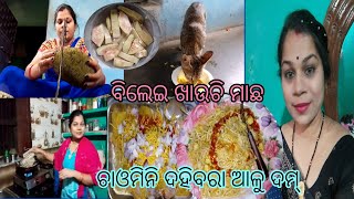 ଏମିତିକା ପାଗରେ ଦହିବରା//ପଣସ କାଟିବା କେତେ କଷ୍ଟ//ମୋ ବିଲେଇ ଆସିଚି ଆଜି ମାଛ ଖାଇବାକୁ