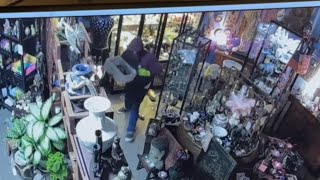 Break-in at Sacramento store might cost owner more than $100K | 'No bouncing back from this'