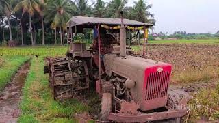 Mahindra 575 Di tractor goes to framland cagewheel cotton plant on mud levaling/@Mohantractorslife