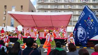 大和高田市ゆるキャラ祭　京都山城みつば家　この道