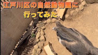 江戸川区の自然動物園にいってみた