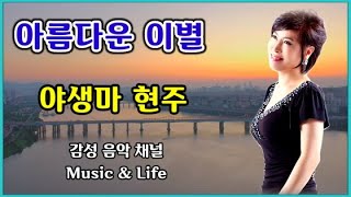 아름다운이별♡야생마 현주(원곡나훈아) 현주TV 유튜브 실시간 라이브 음원  배경화면 : 노을이 아름다운 한강영상