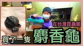 【威爾的日常】 在超多神奇動物的「台灣昆蟲館」，用自己零用錢買了『麝香龜』寶寶！