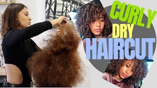 TIPS ON CUTTING CURLY HAIR w/ SALON REPUBLIC AND OTHER ICONIC MOMENTS | Brittney Gray