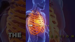 Common Costochondritis Symptoms