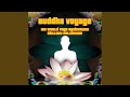 Sexual Healing (Buddah Remix)