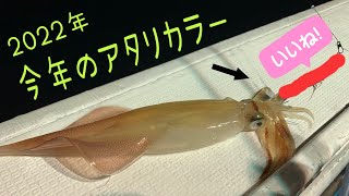 【イカメタル】今年は、このカラーがアタル！