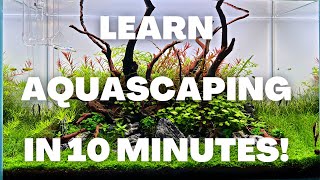 Complete Aquascaping Beginners Guide - Learn ALL The Basics!