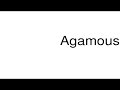 how to pronounce agamous