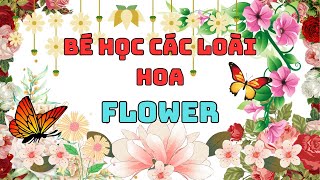 Khám Phá Các Loài Hoa: Song Ngữ Anh - Việt| Các Loài Hoa | flower | Hoa hồng,hoa sen,hoa cúc,hoa lan