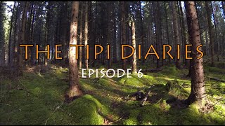 BUSHCRAFT BASECAMP - FILTERING WATER, AXE SHARPENING, FIRE, WOOD GATHERING - THE TIPI DIARIES Ep06