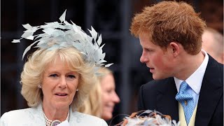 Queen Camilla 'very hurt' by Prince Harry's memoir Spare