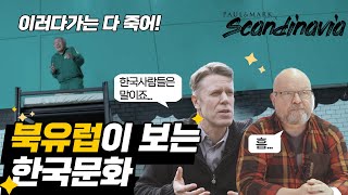 북유럽 사람들이 보는 한국의 조직문화는 과연...?  | 스웨덴, 핀란드 인터뷰