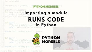 Python module imports run code!